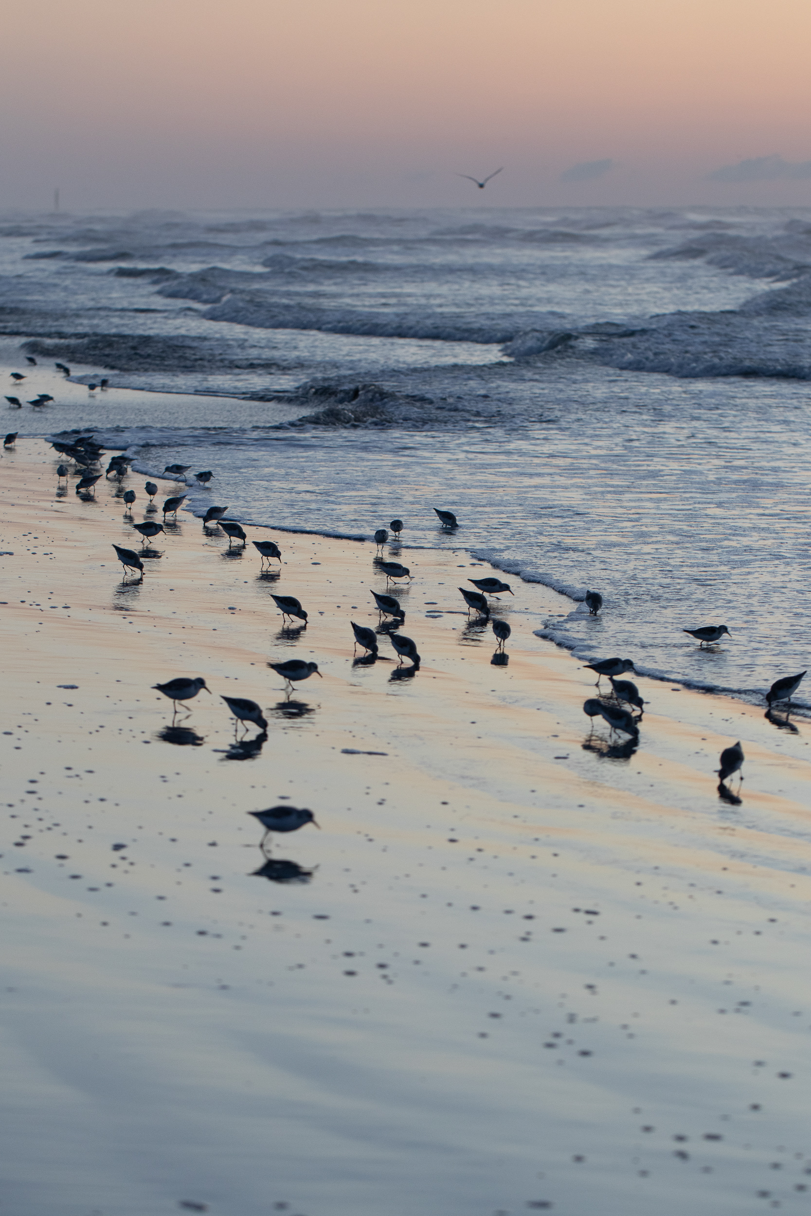 North Atlantic Coast, NJ