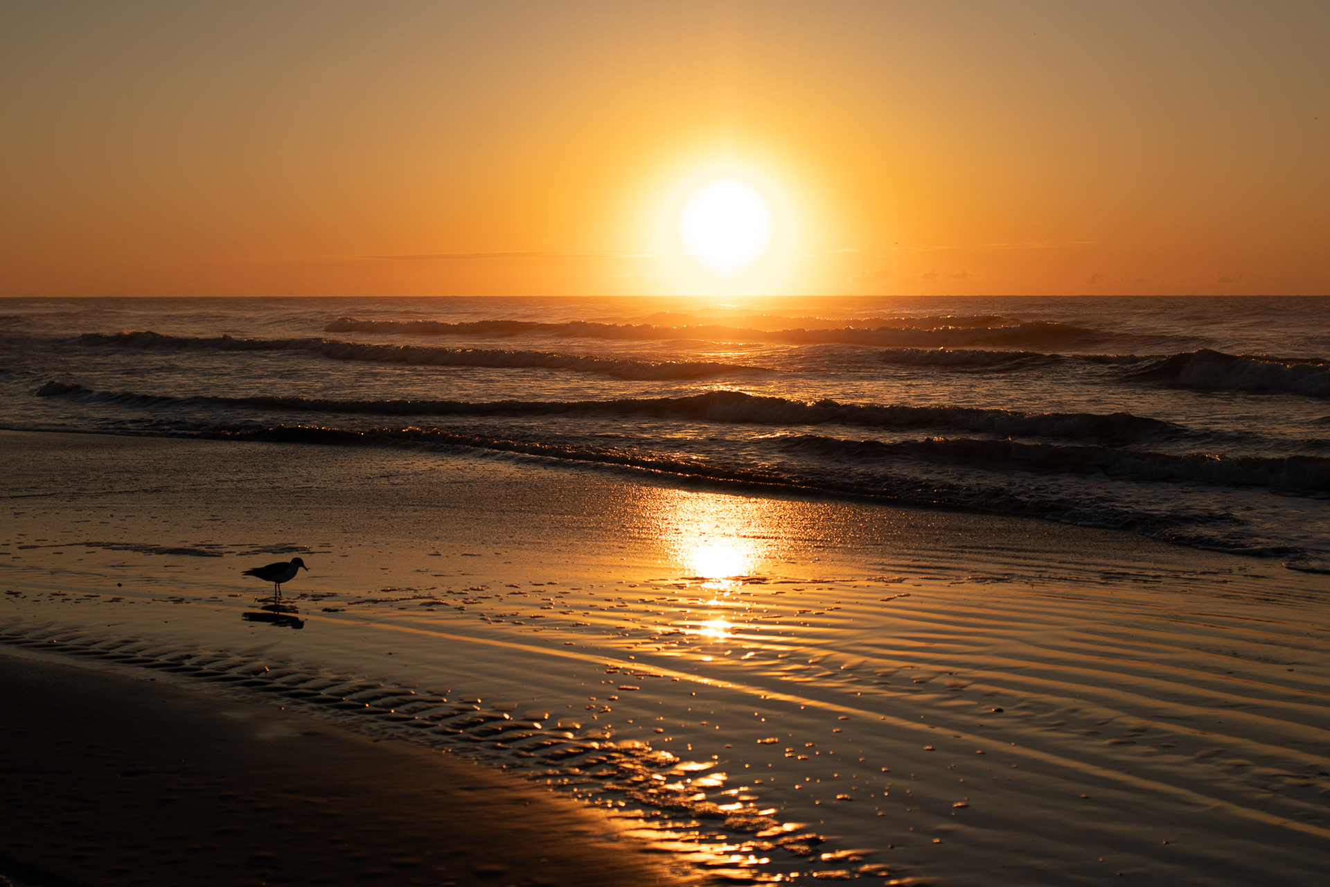 North Atlantic Coast, NJ
