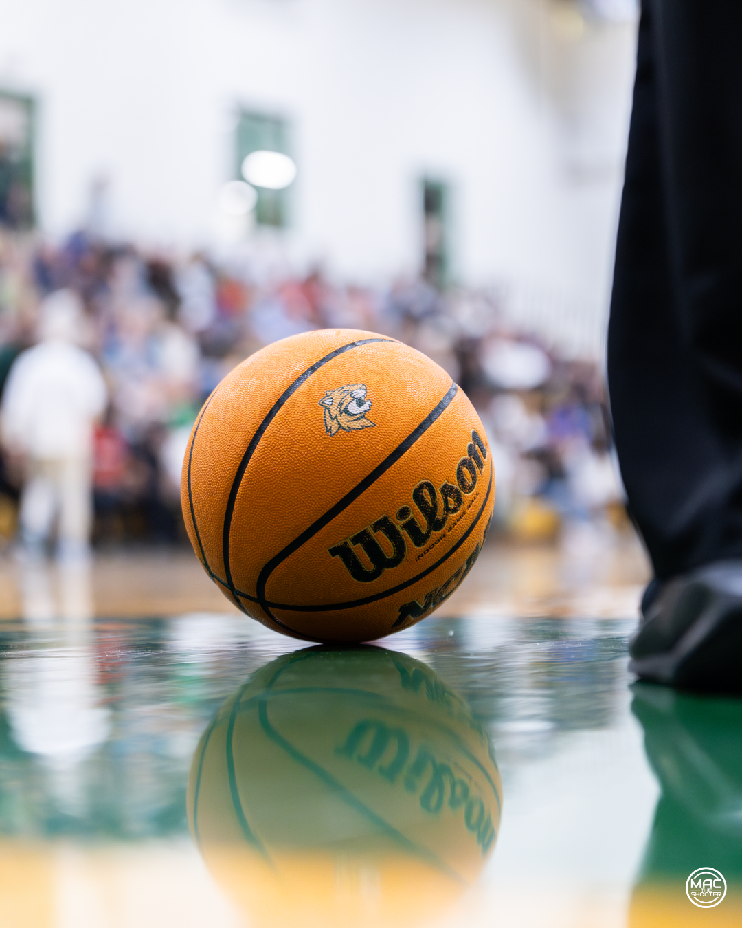 Greensboro Day Wilson Game Ball