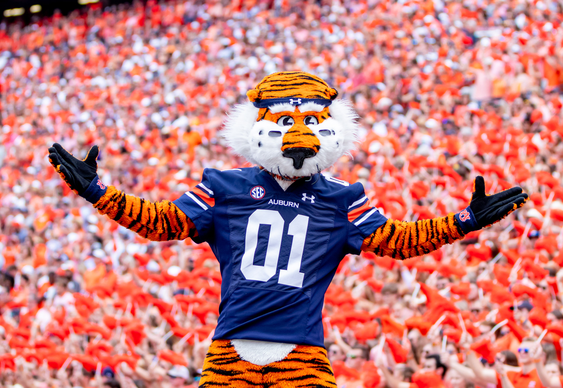 Aubie The Tiger