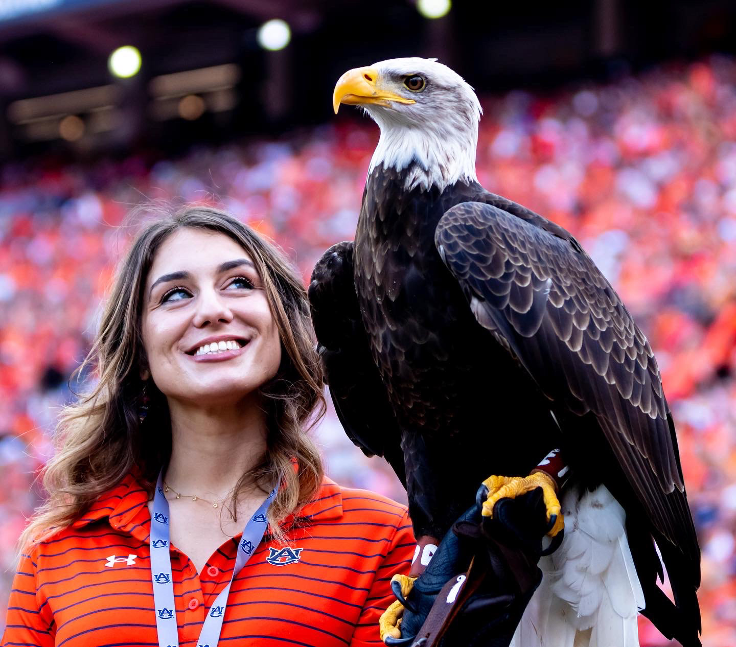 War Eagle