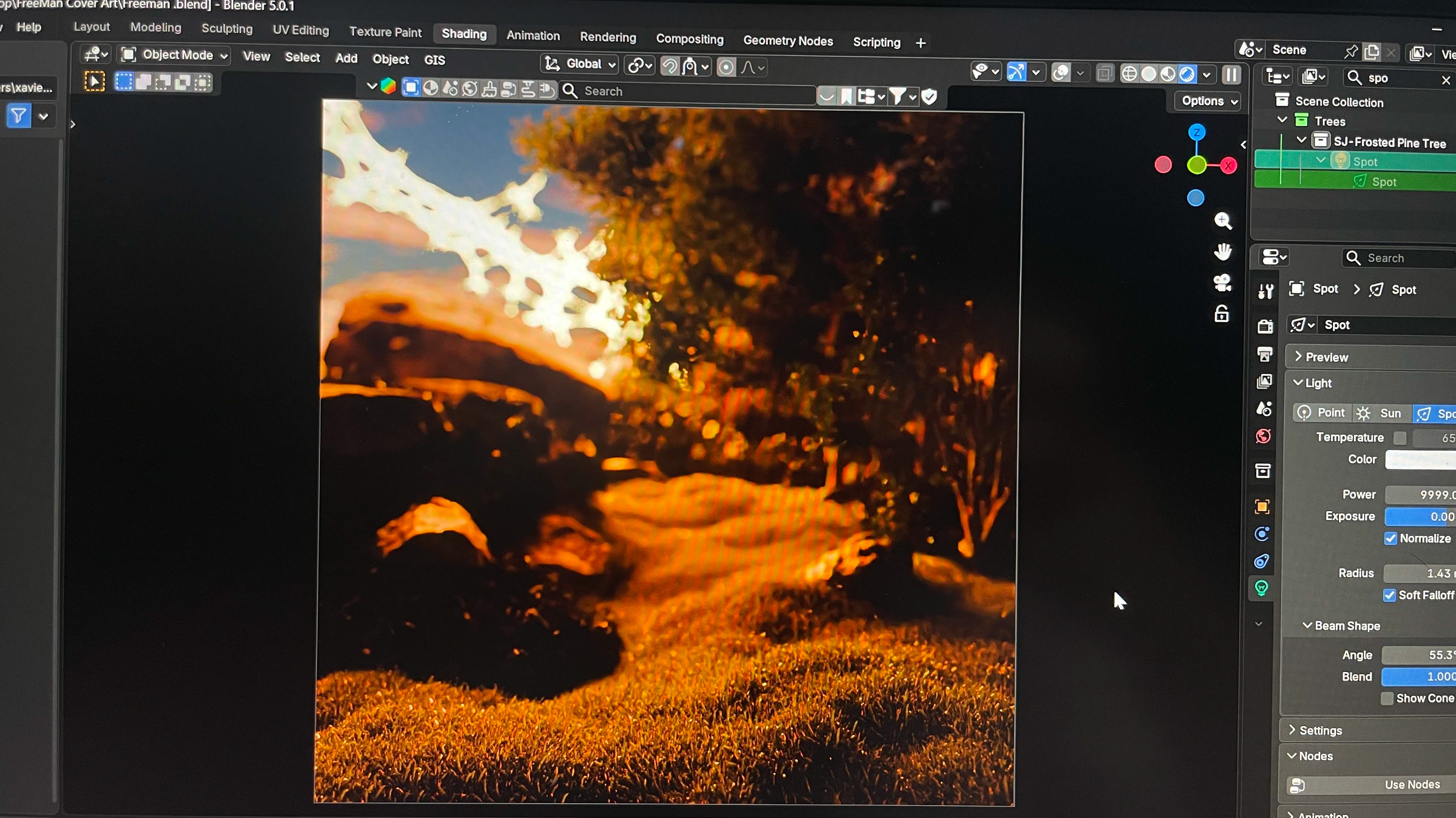 Environment Creation