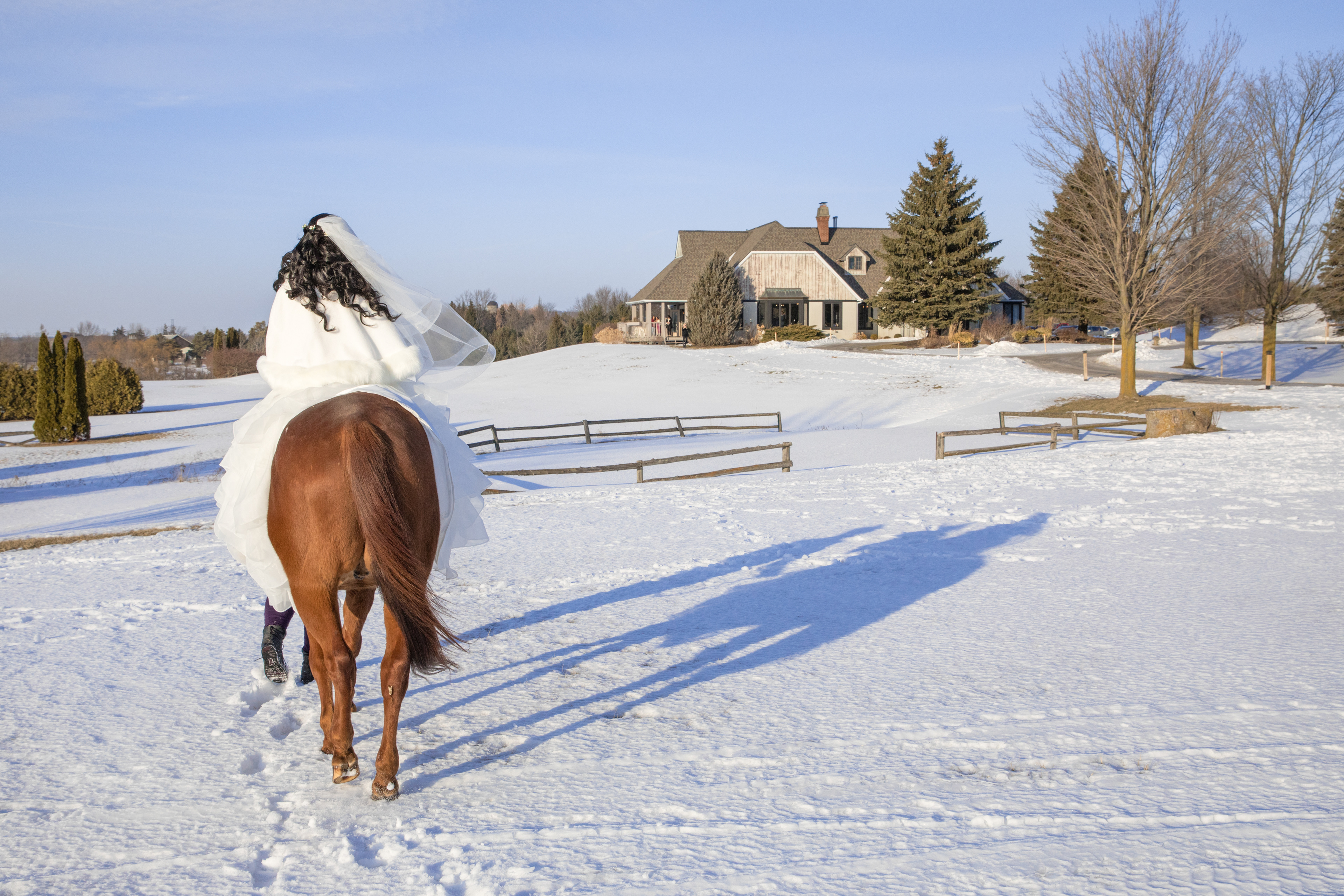 Photo by Mathew Tsang.