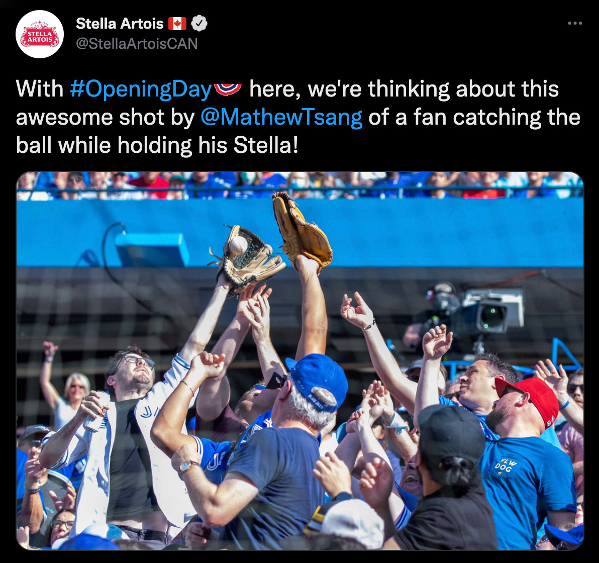 Stella Artois (Labatt), Twitter Feed.
