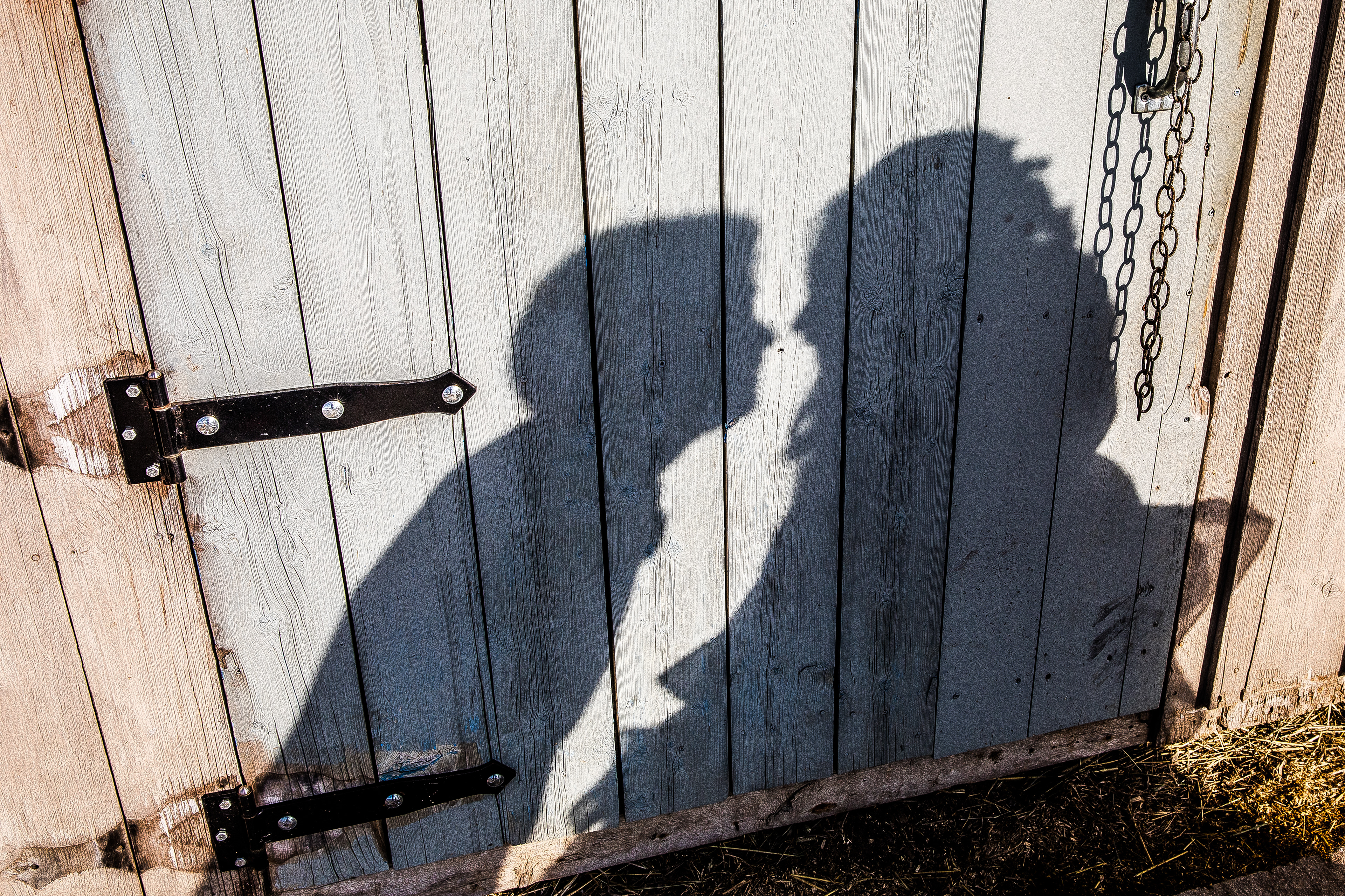 Photo by Mathew Tsang.