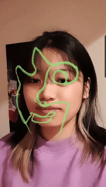 Faces AR