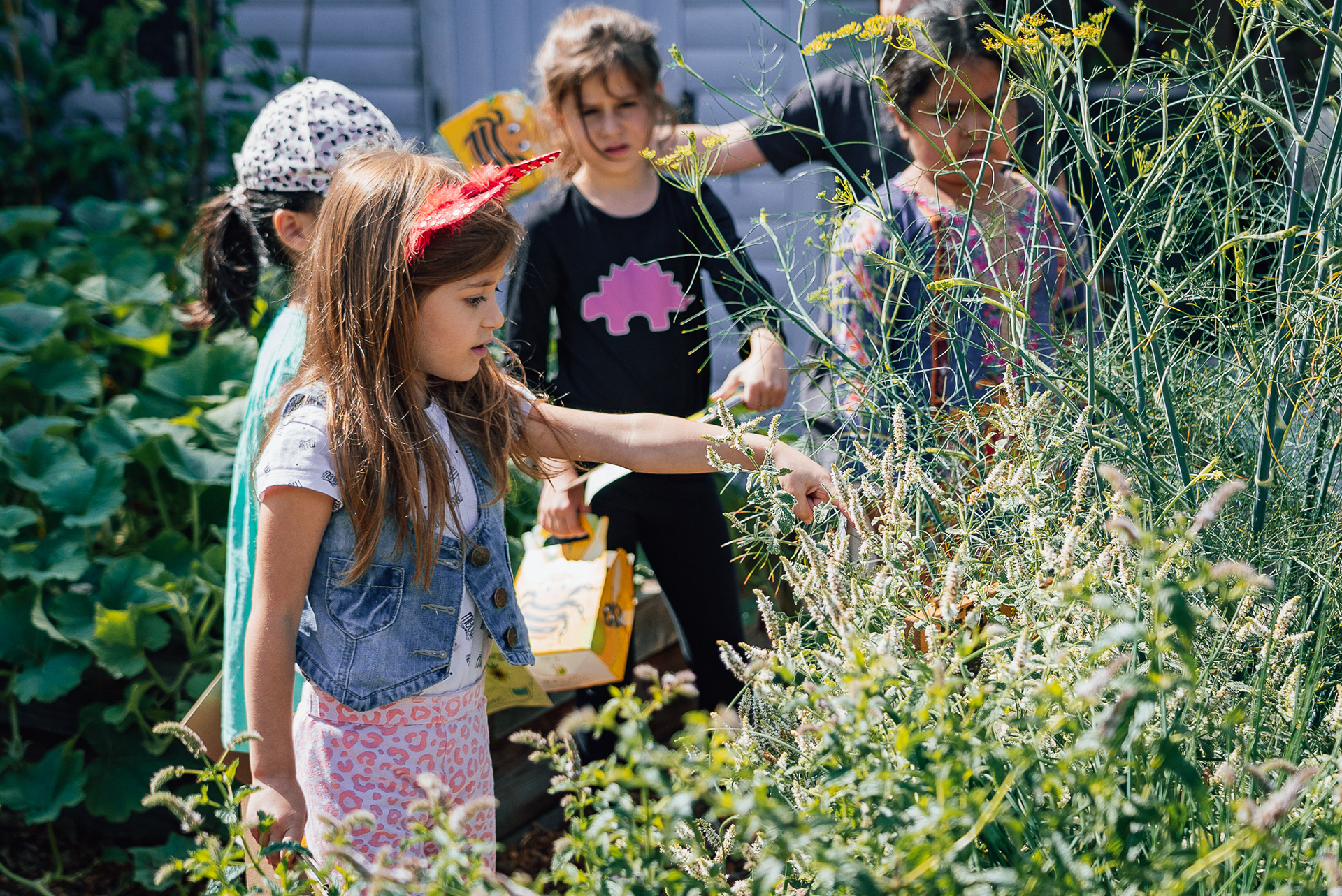 A little girl placing her hand in some wild flowers in an allotment other children stand behind her.