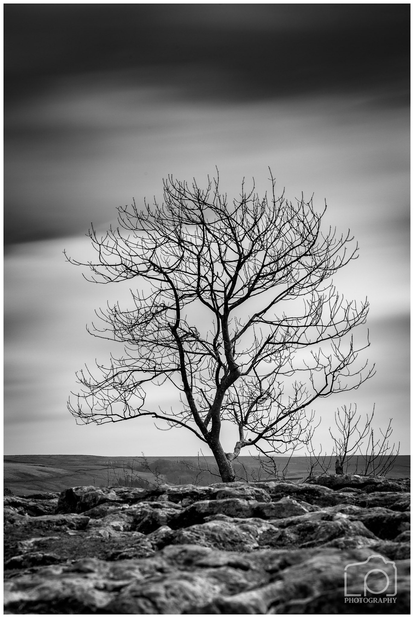 Limestone in Yorkshire