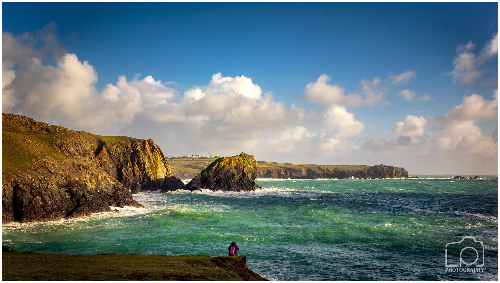 Kynance Cove Cornwall - 5745