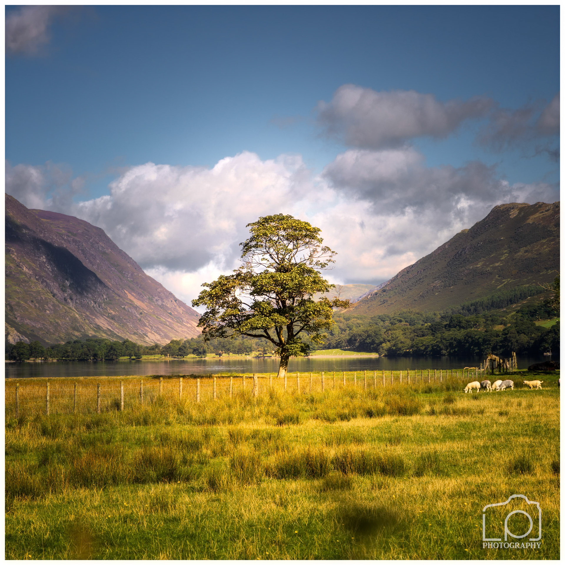 Buttermere