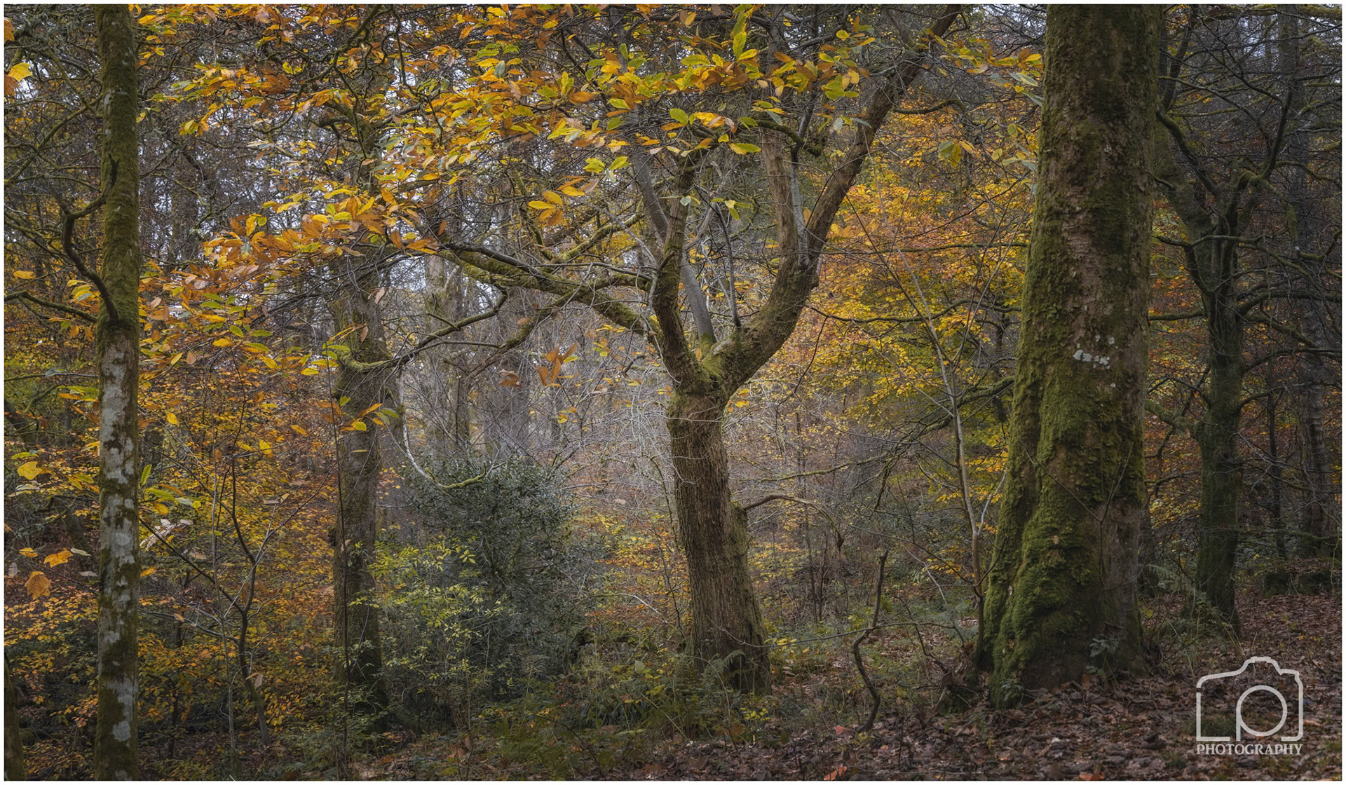 Scotland - Balloch - 5276