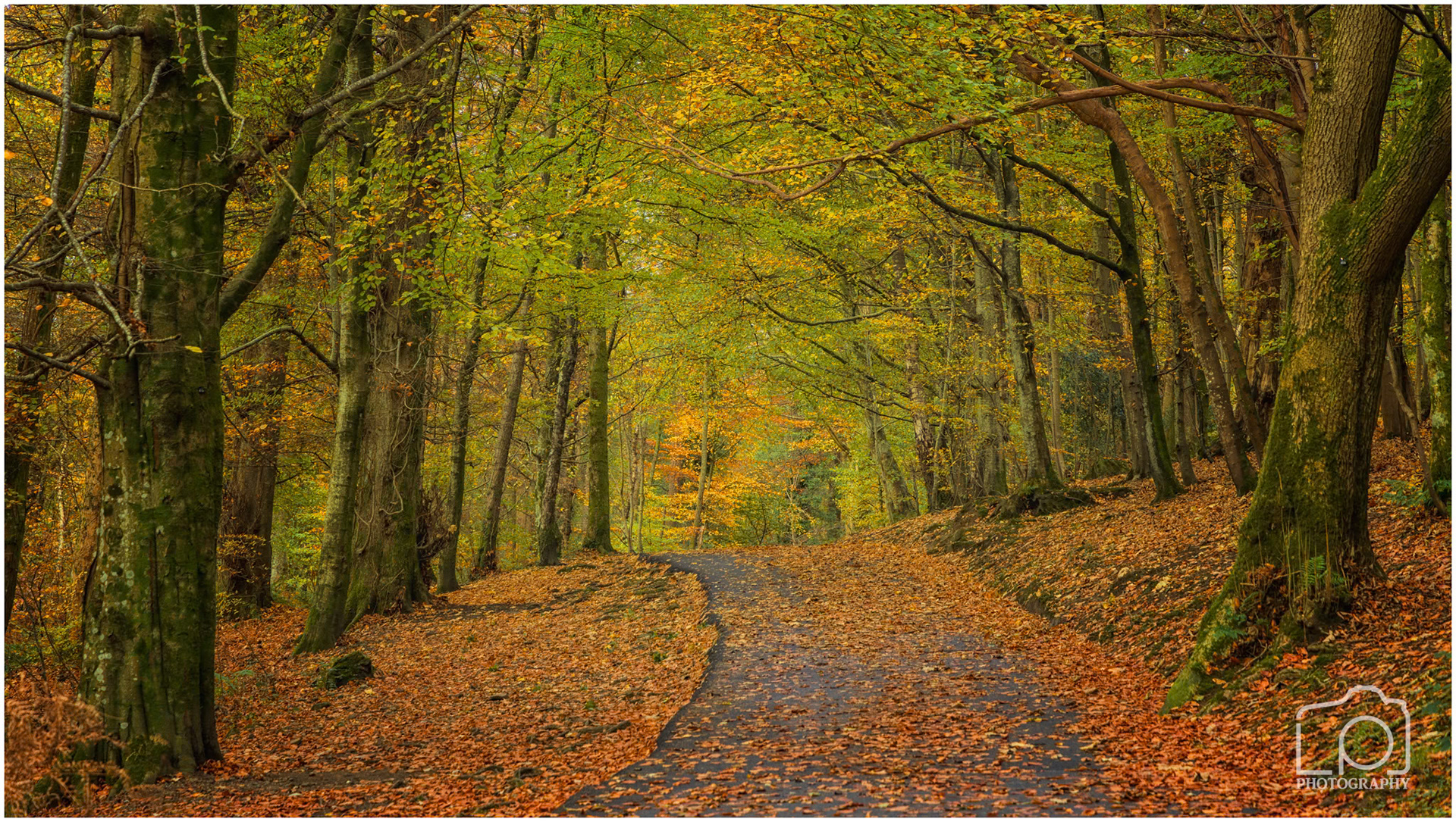 Scotland - Balloch - 5272