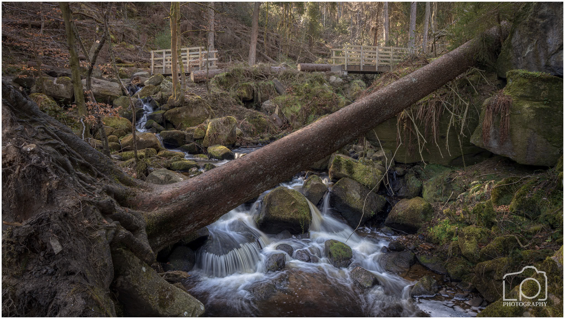 Peak District - Wyming Brook - 5589