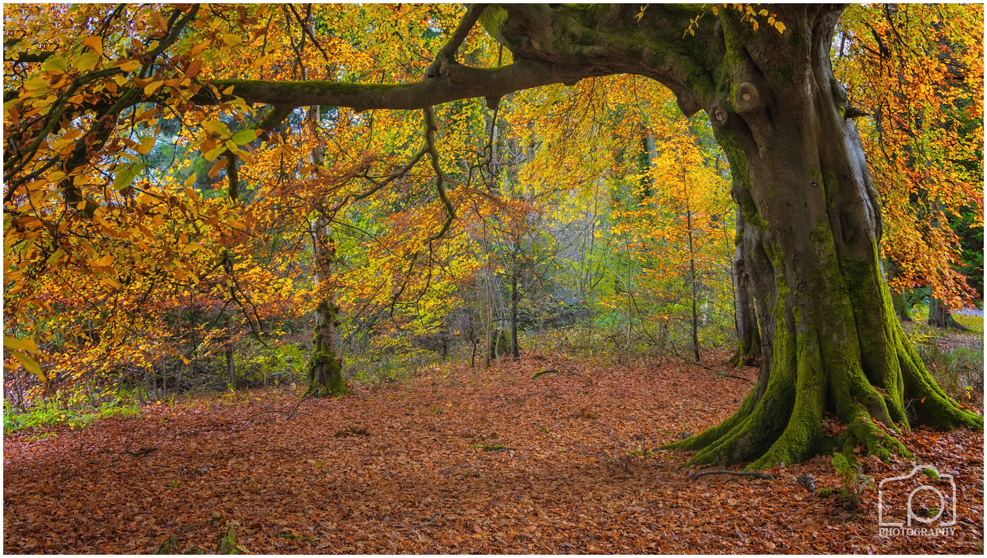 Scotland - Balloch - 5292