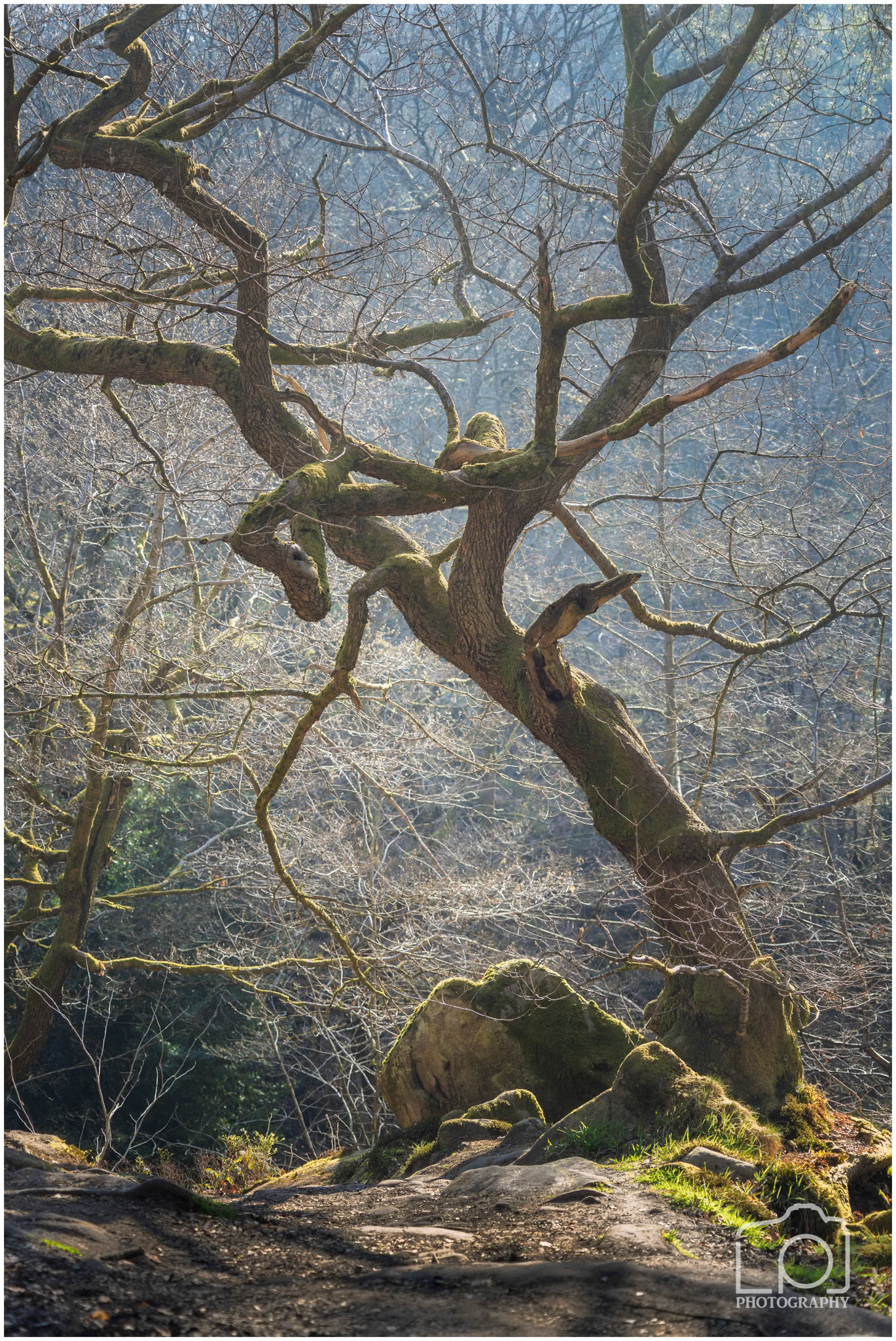 Peak District - Padley Gorge - 5717