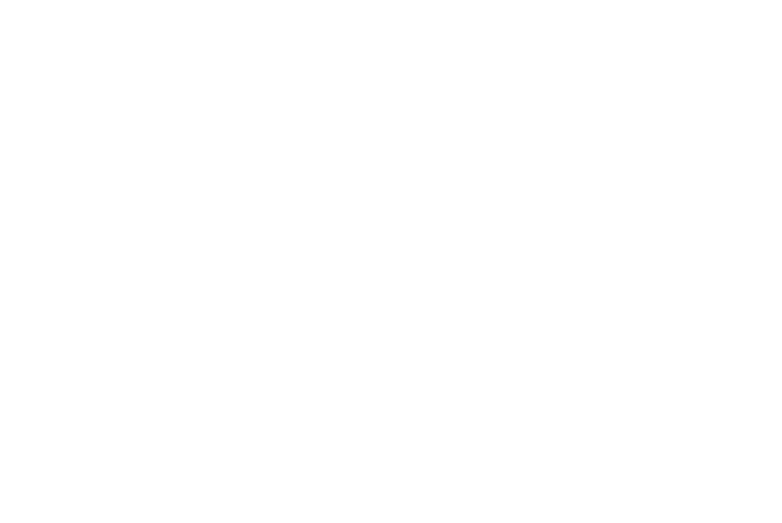TALAL ABOU HAMRA