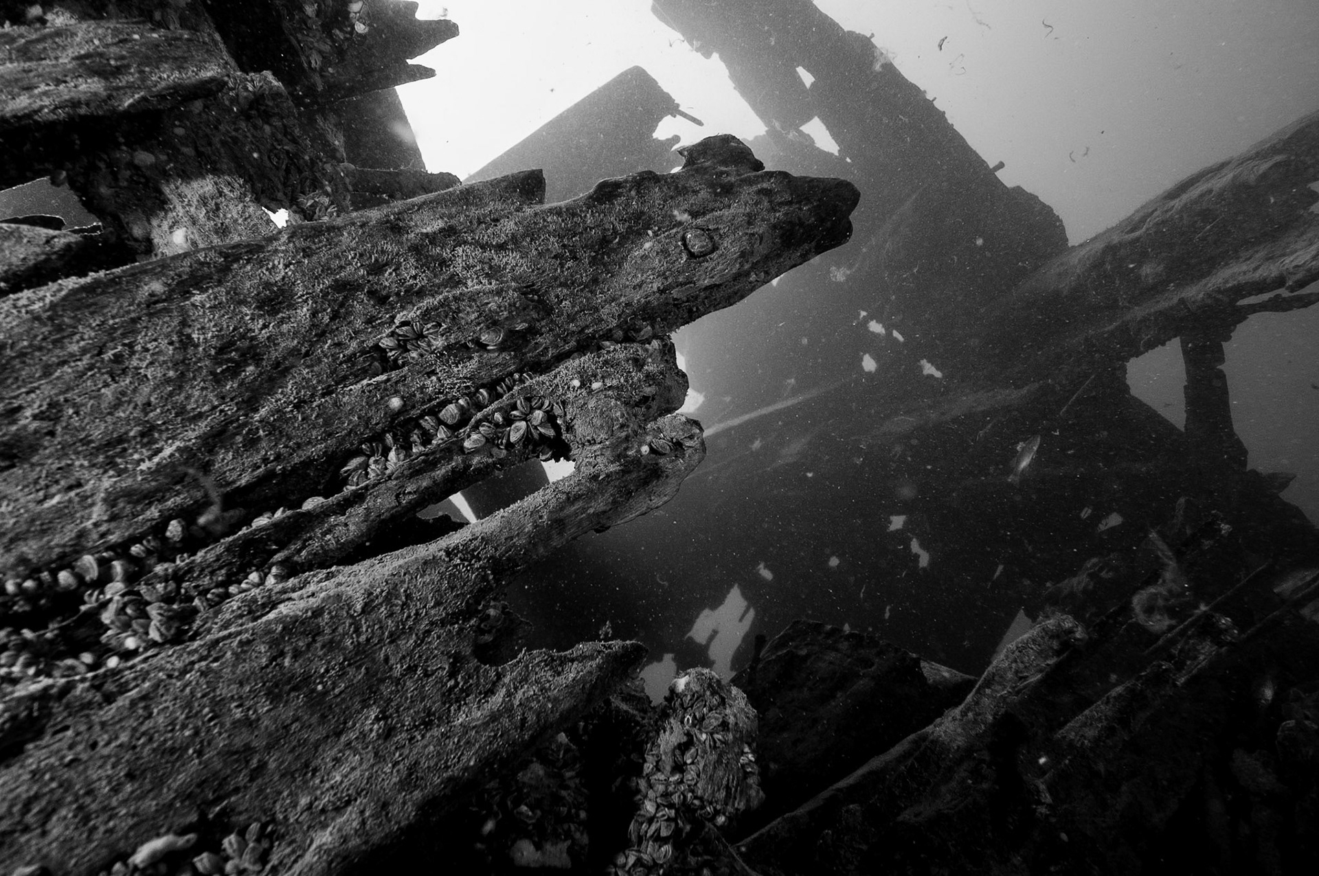 Planches de bois et clous de métal forment la coque du Robert Gaskin.  |  Wood and metail nails on Robert Gaskin hull structure.