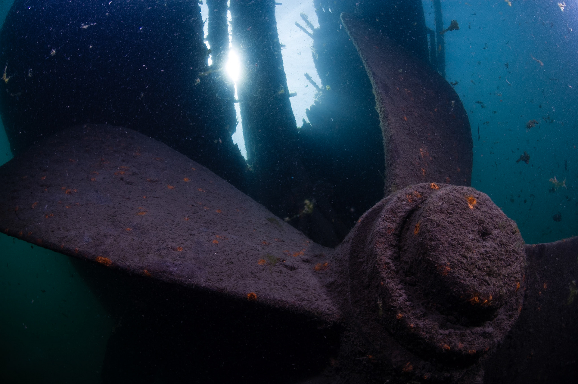 Encore en place, là où elle tournait à grande vitesse, l'hélice du Conestoga est visible sur l'épave. | Still in place, the Conestoga's propeller is now visible on the wreck.