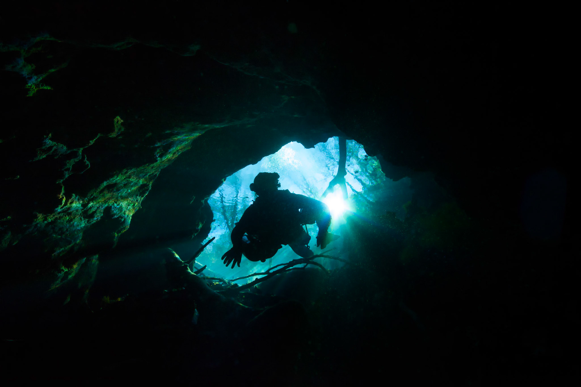 Plongeur pénètre dans la caverne de Peacock Spring, Floride, États-Unis. | Diver entering in Peacock Spring cave entrance, Florida, USA.