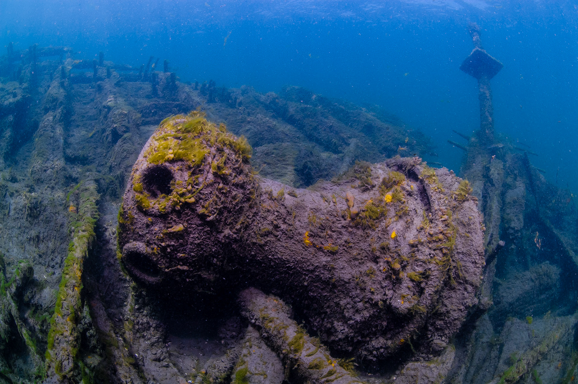 Artefact dans le champs de débris de l'épave. | Artefact found in wreck debris.