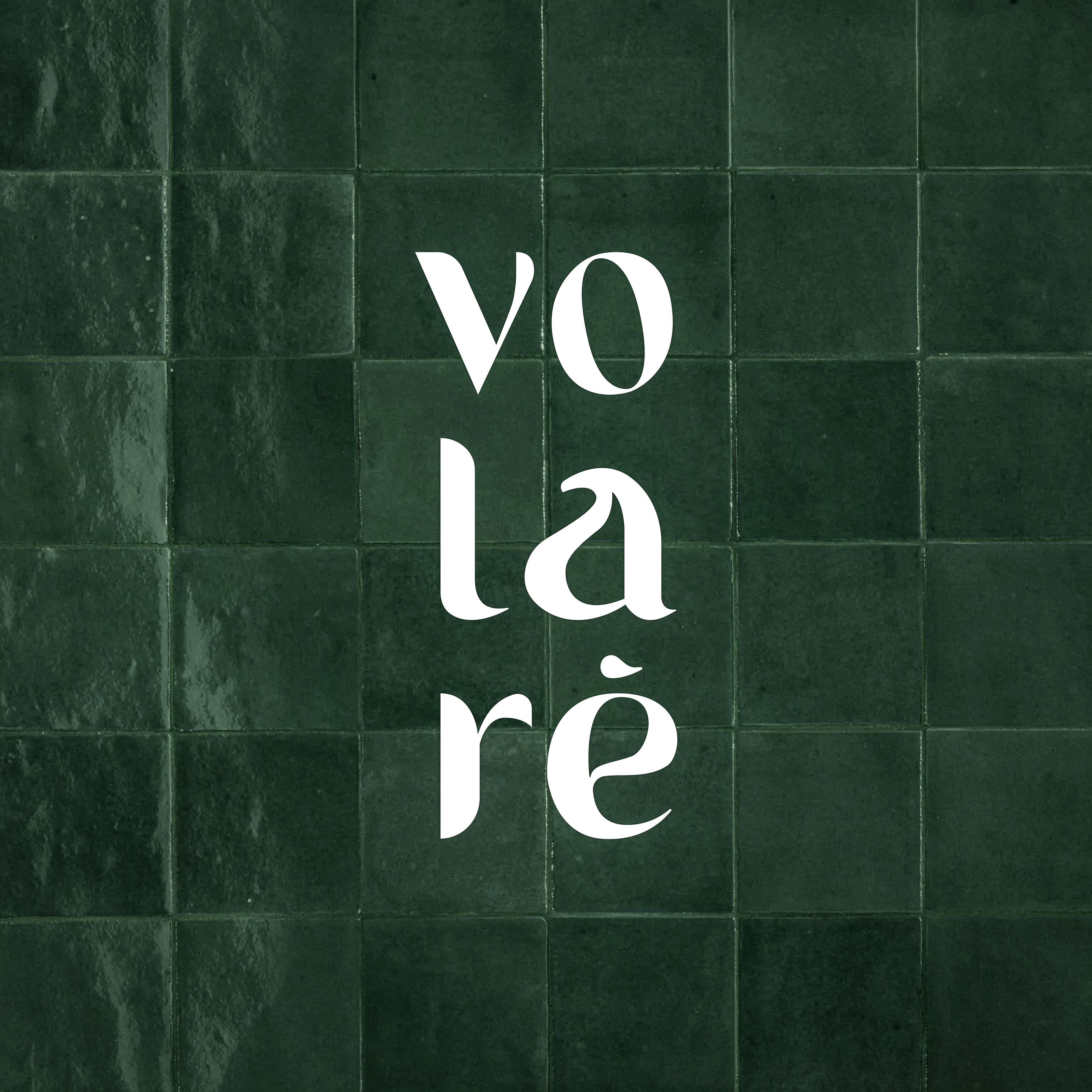 Primary Logo Design for Volaré