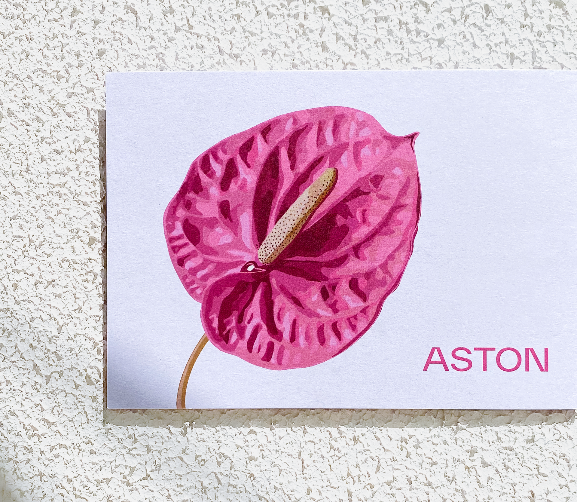 Thank You Card for Aston Studio
