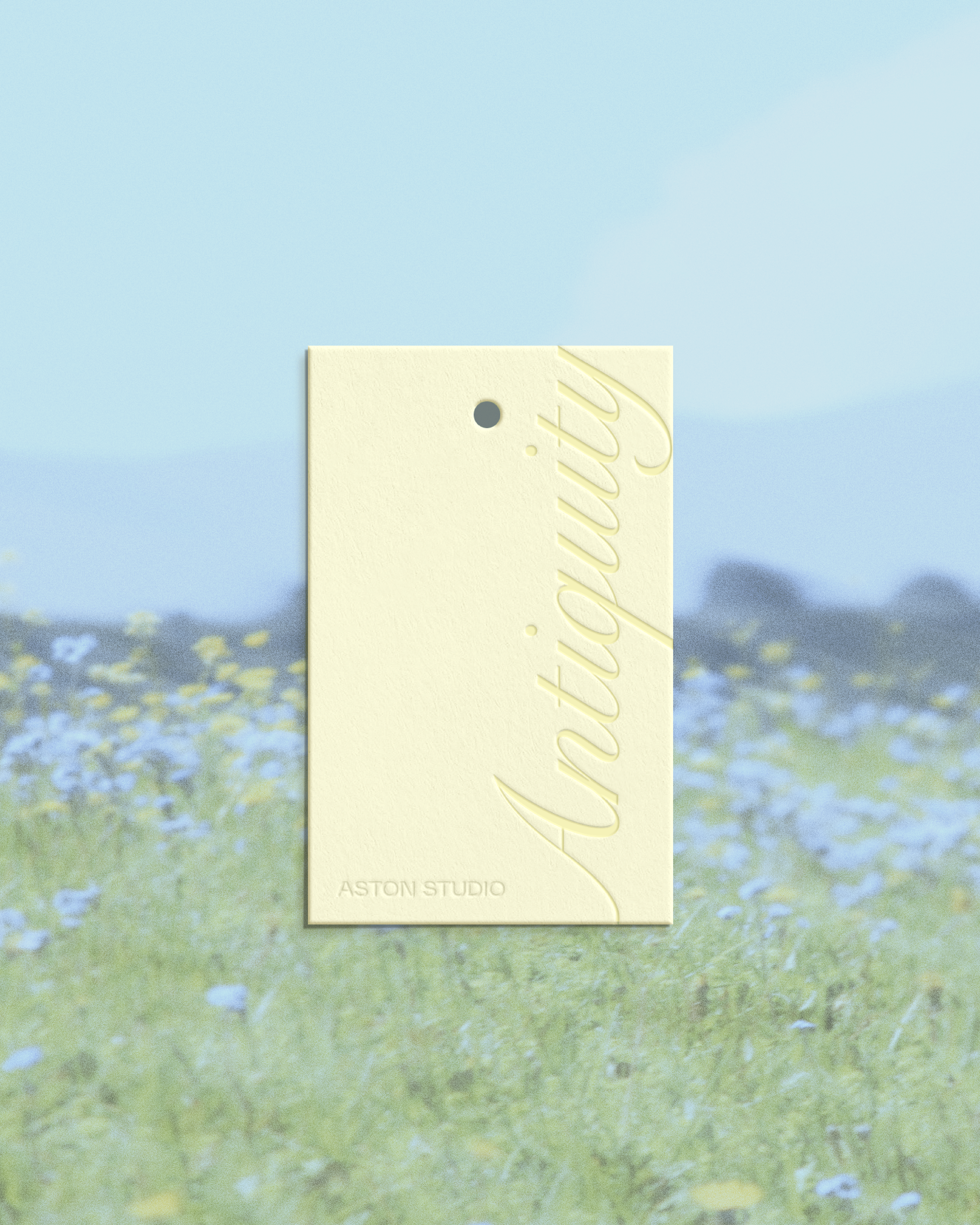 Brand Application for Aston Studio