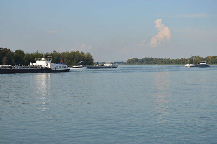 Schifffahrt auf dem Rhein