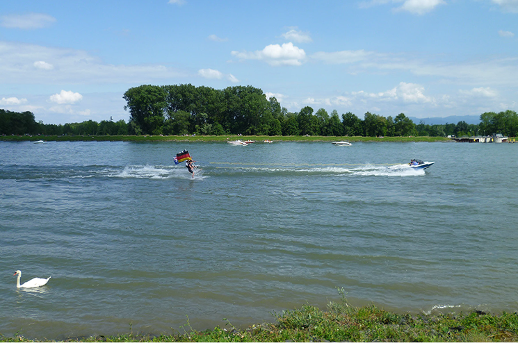 Wasserski fahren auf dem rhein