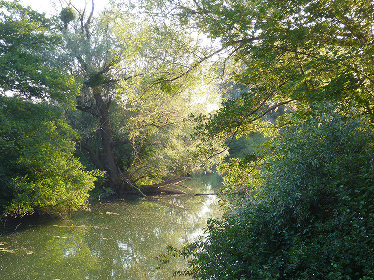 Erhohlung in den Rheinauen