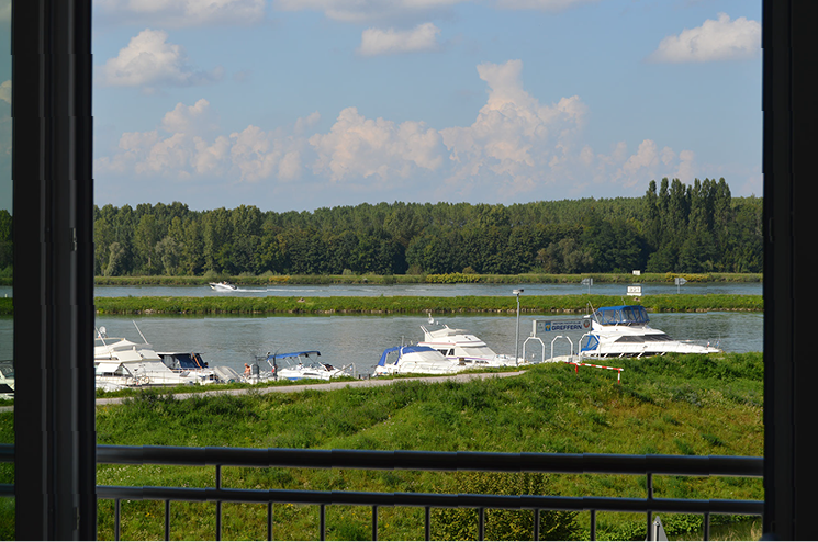 Blick aus dem Wohnbereich