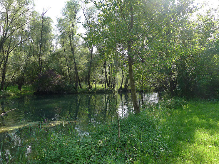 Erhohlung in den Rheinauen