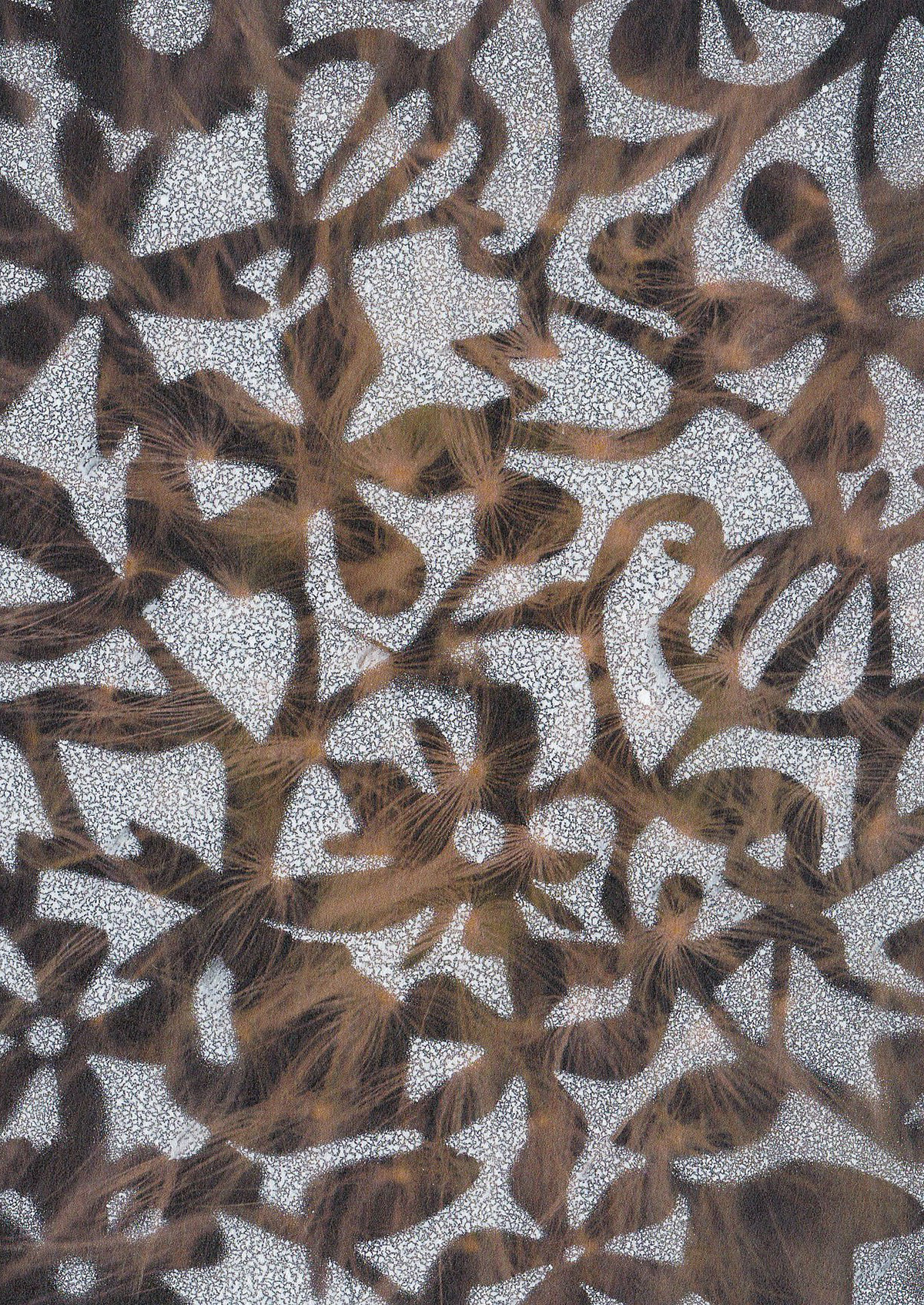 0407_0024