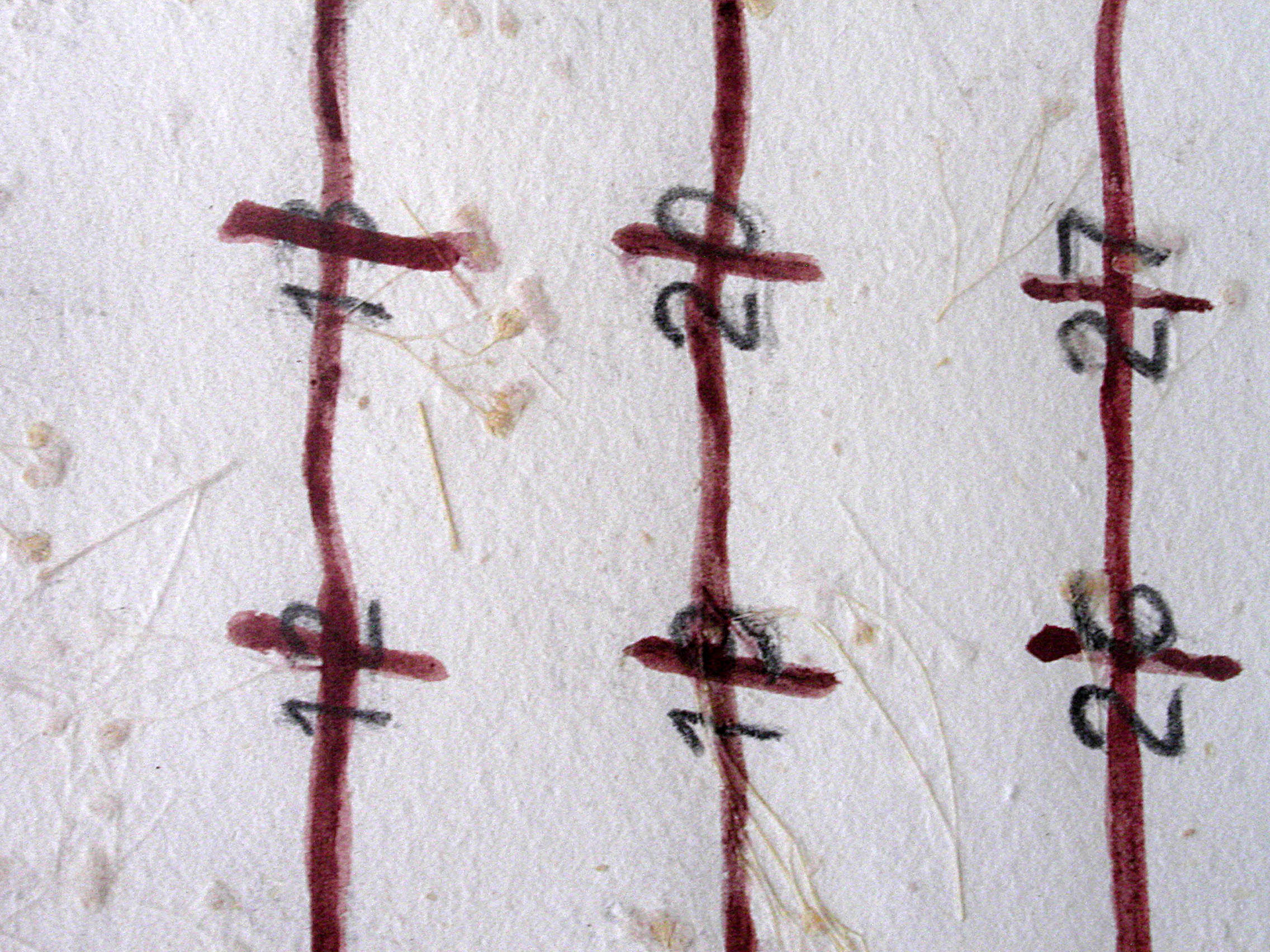  "Año bisiesto" 2001. dry  pastel. 100 x 70 cm