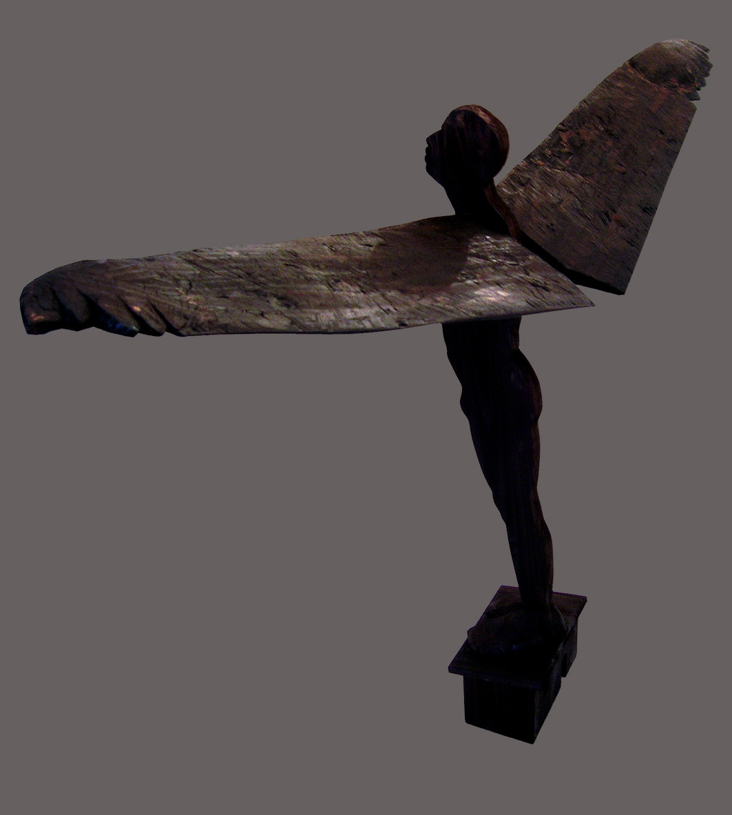 "Volar no siempre fue una buena solución". 2007.  wood. 100 x 200 x 50 cm.  Collection M. Chris Von Christierson.