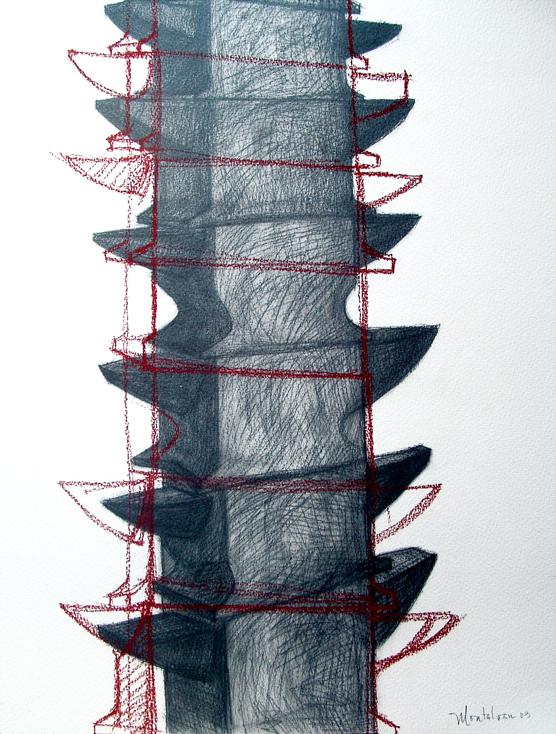"Epine vertébrale" 2003. graphite, dry pastel. 75 x 55 cm.