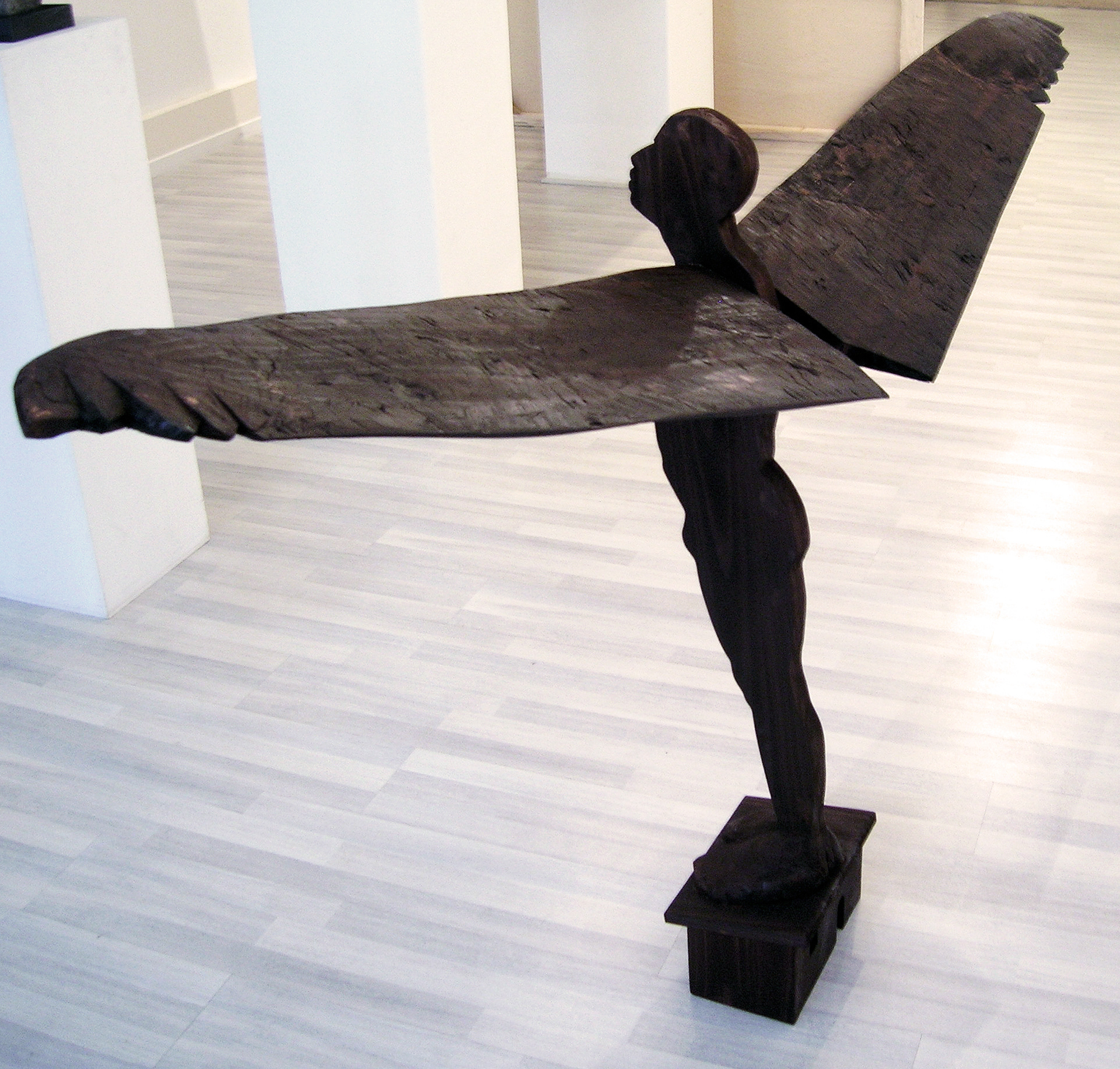 "Volar no siempre fue una buena solución". 2007.  wood. 100 x 200 x 50 cm.  Collection M. Chris Von Christierson.