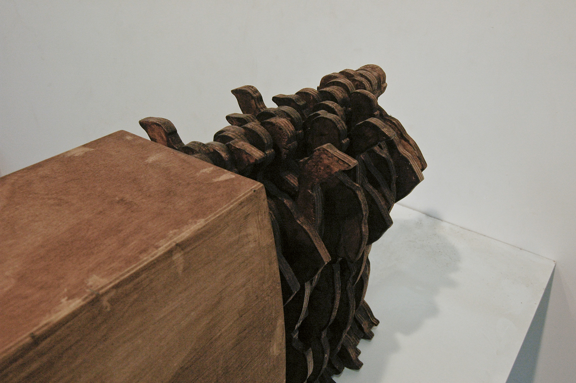 "Eterna idea del regreso" 2012. wood. 60 x 120  x 40 cm.  Collection Shelley and Donald Rubin Foundation.