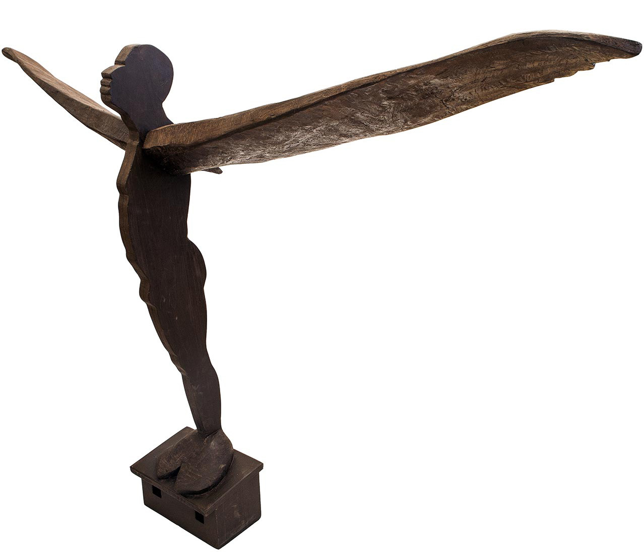 "Volar no siempre fue una buena solución". 2007.  wood. 100 x 200 x 50 cm.             Collection M. Chris Von Christierson.