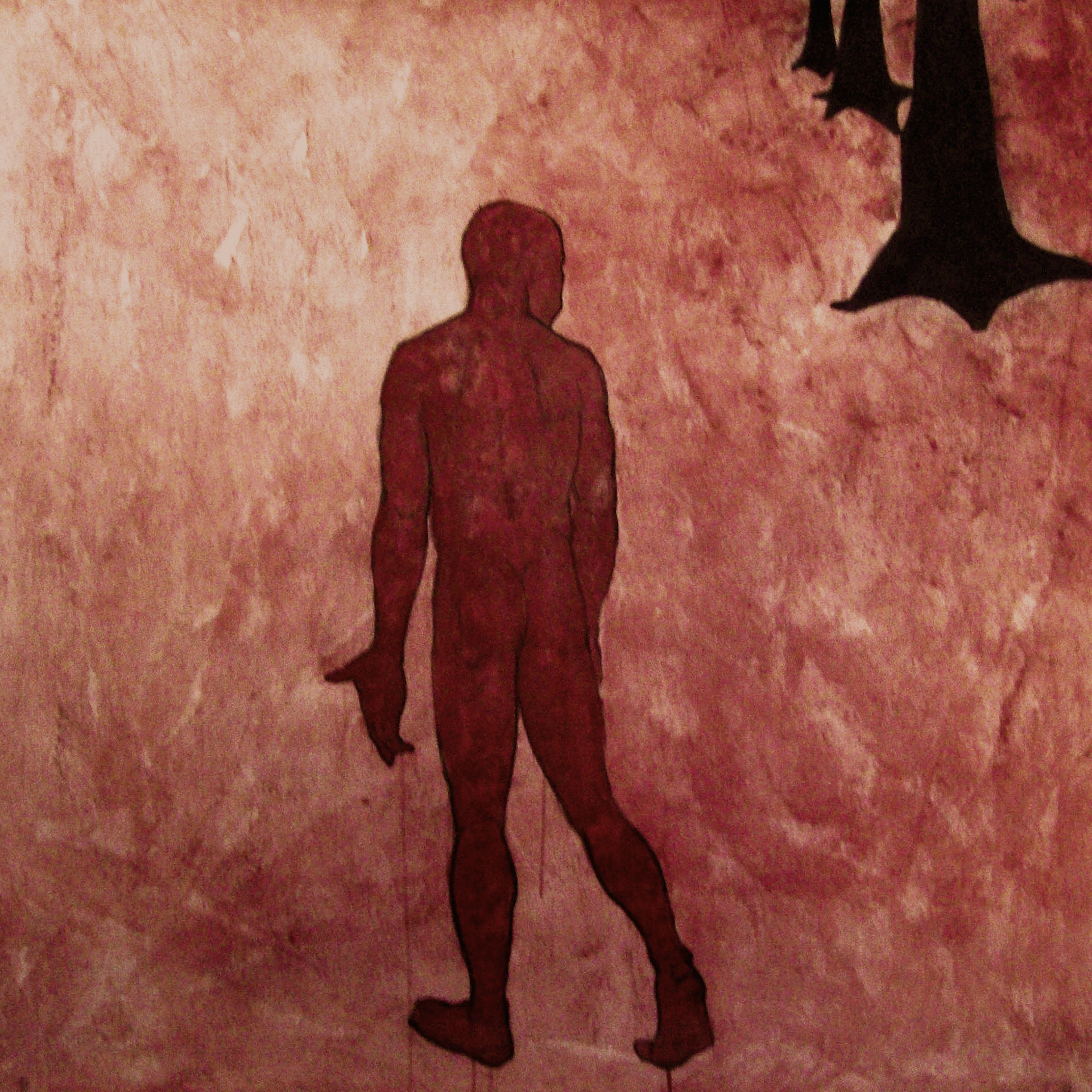 "Looking back" 2010. natural pigment, graphite 125 x 125 cm.  Collection M. Chris Von Christierson