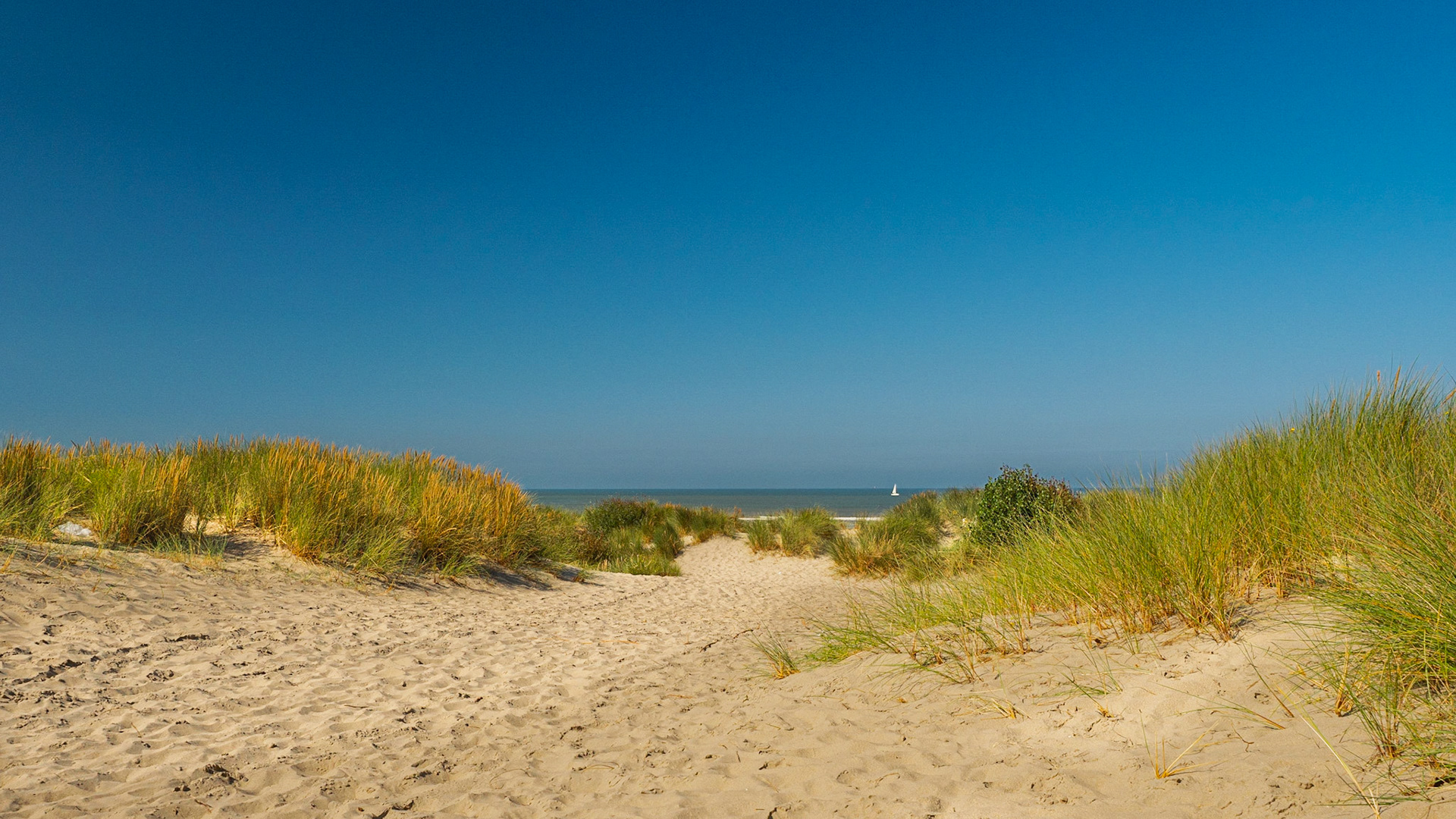 Duinengebied Oostduinkerke-Bad