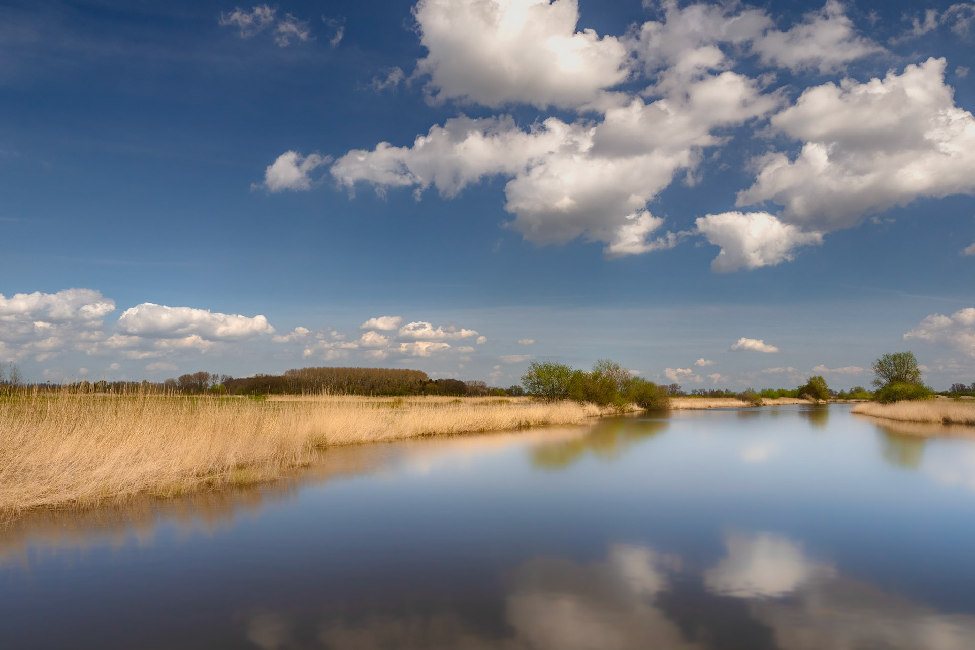 Braakmankreek-Zuid