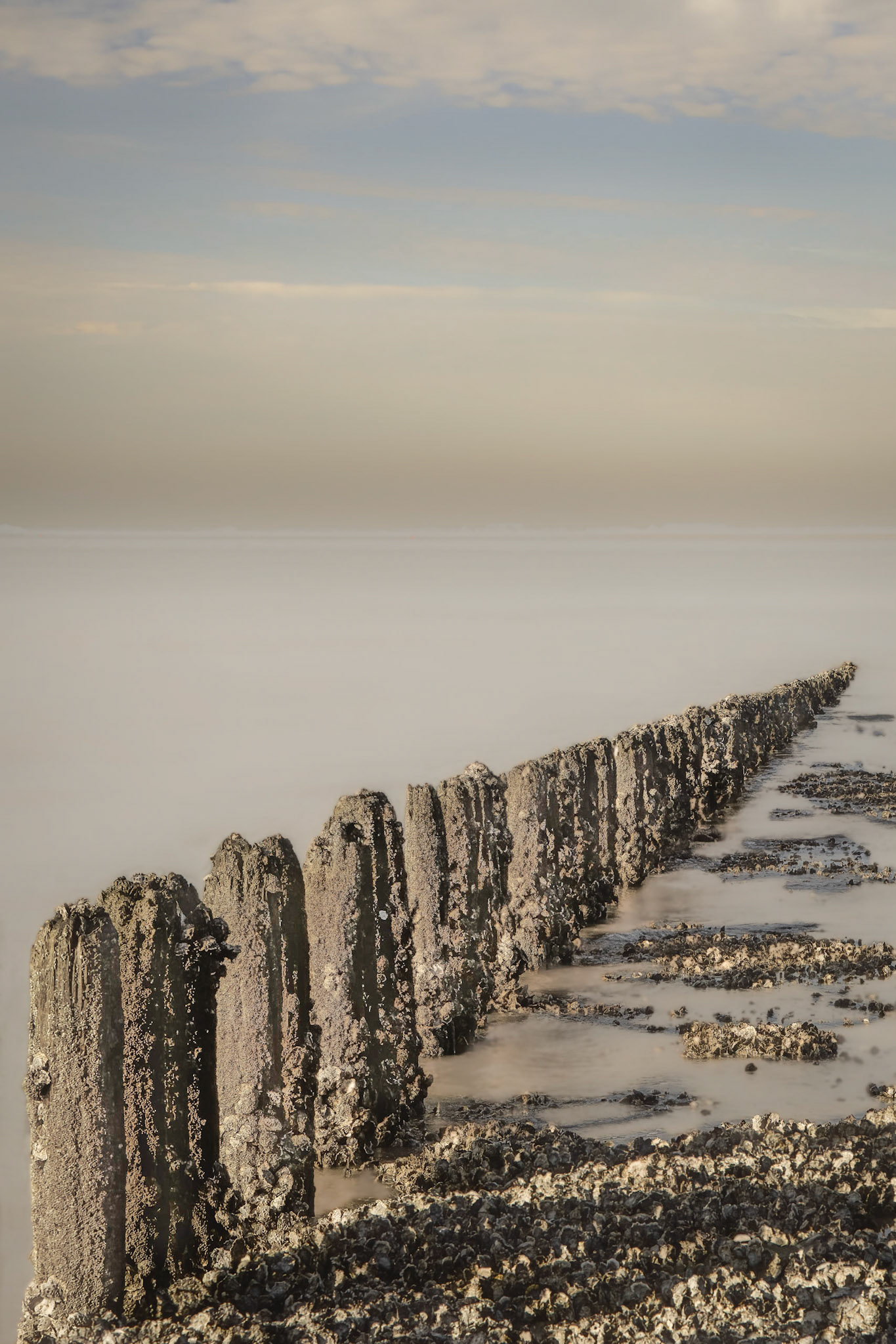 Westerschelde