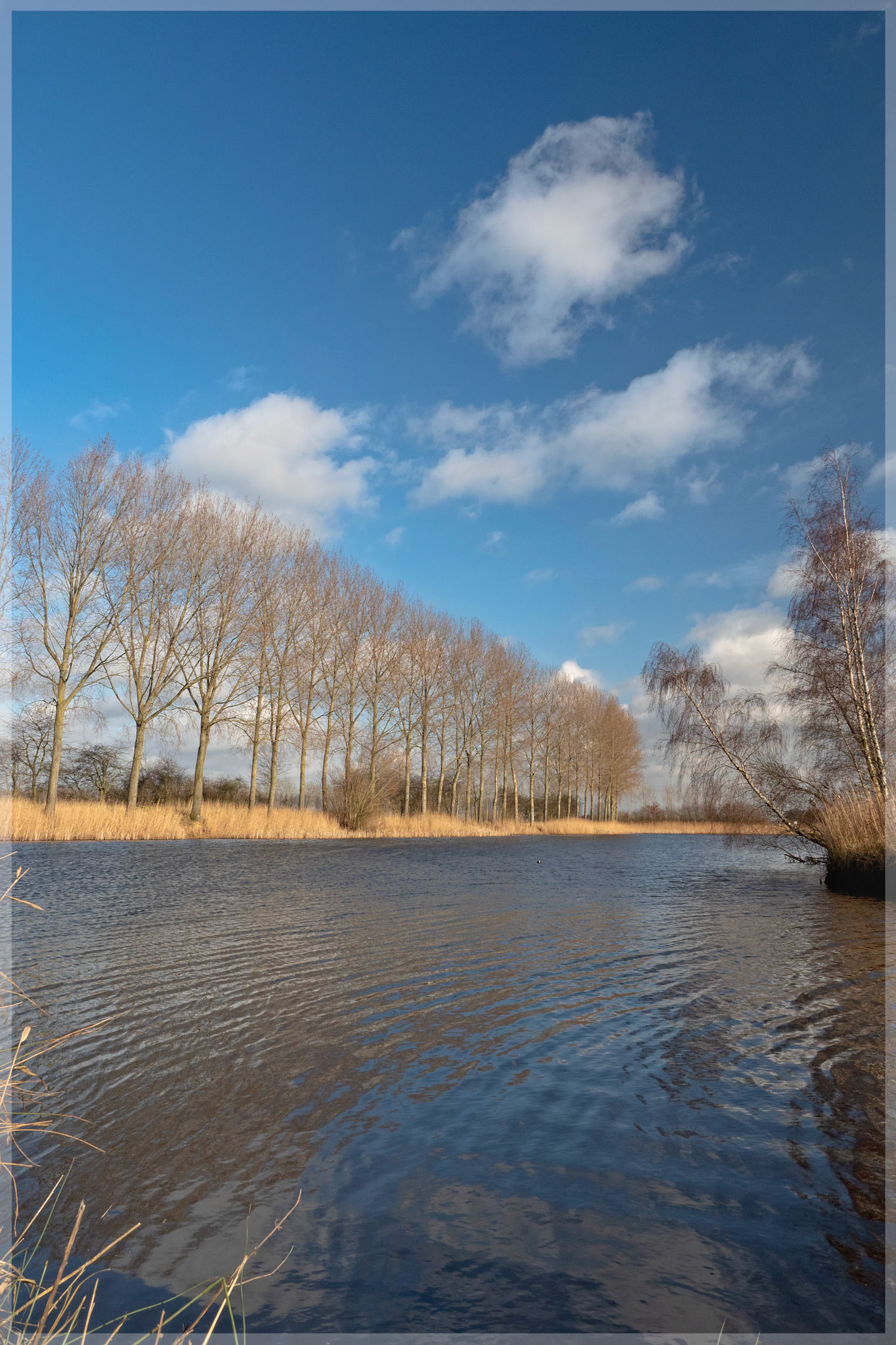 Moerbeke Kreek