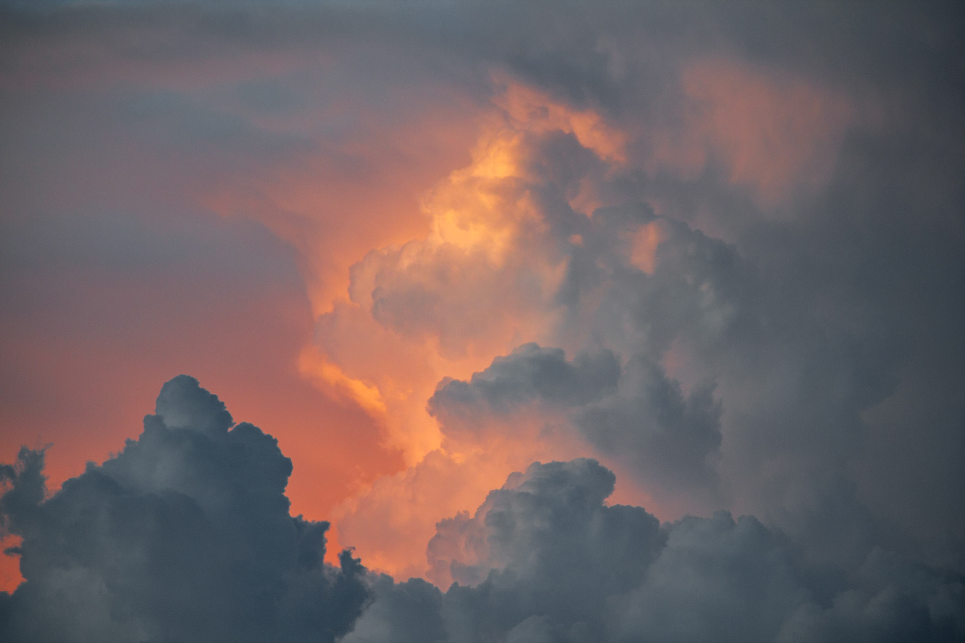 From my bedroom window in Orange County, CA - March 2021