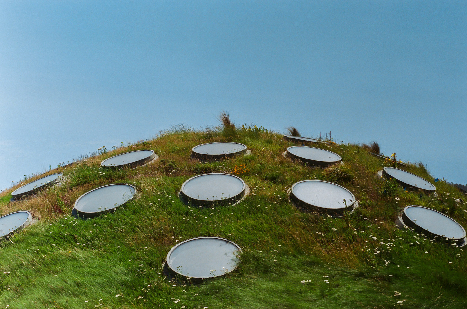 Roof of the Academy of Sciences in San Francisco, CA - 2021