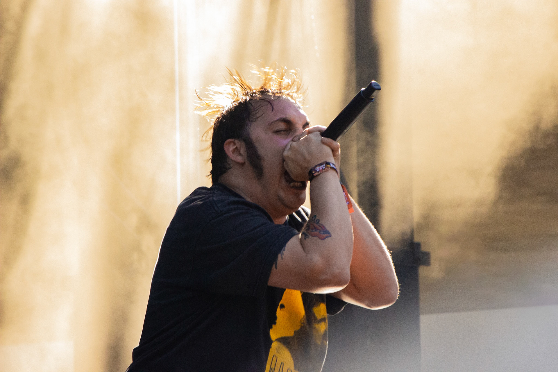 Narrow Head - Soundwave Stage