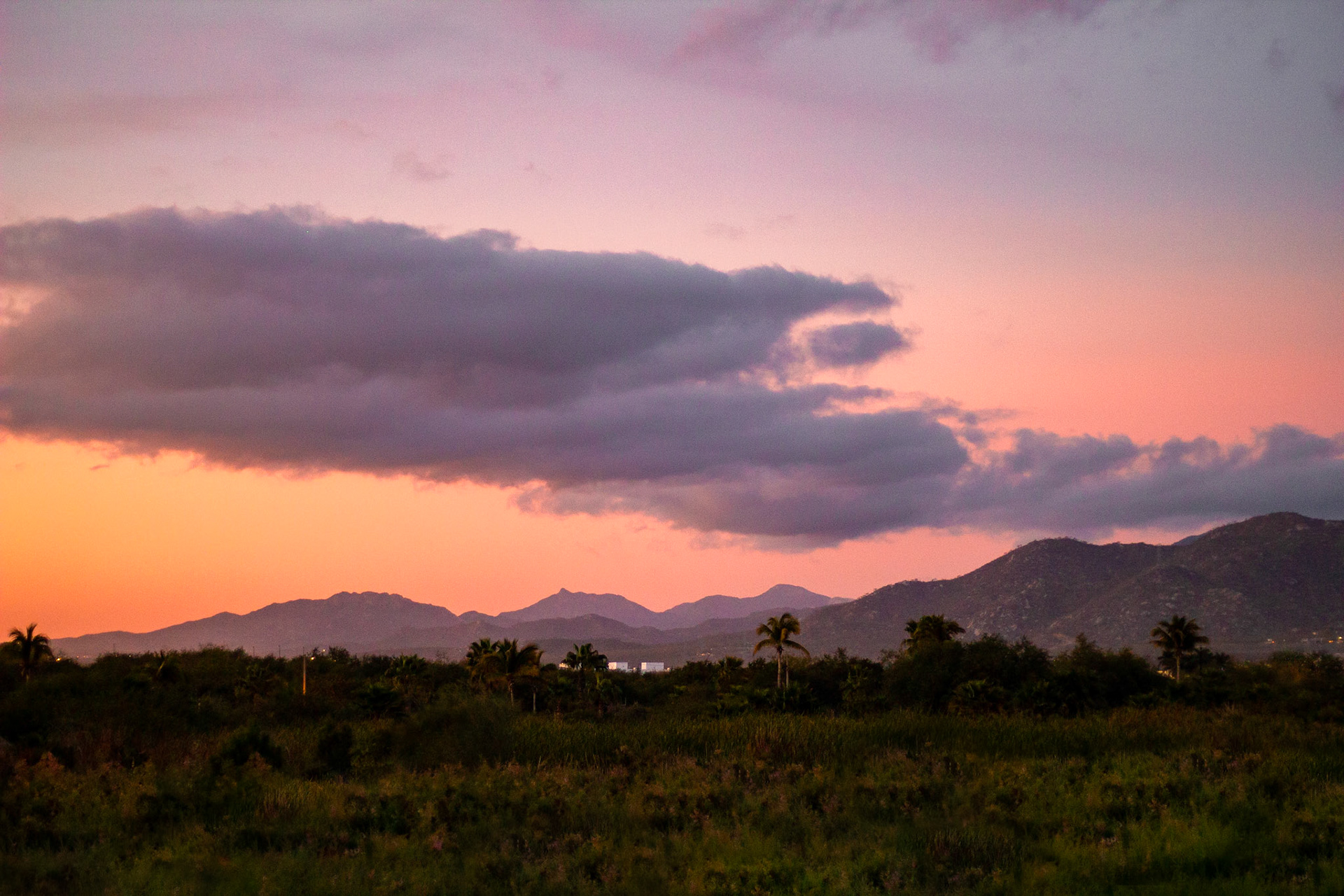 On a walk in Cabo, Mexico - Jan. 2023