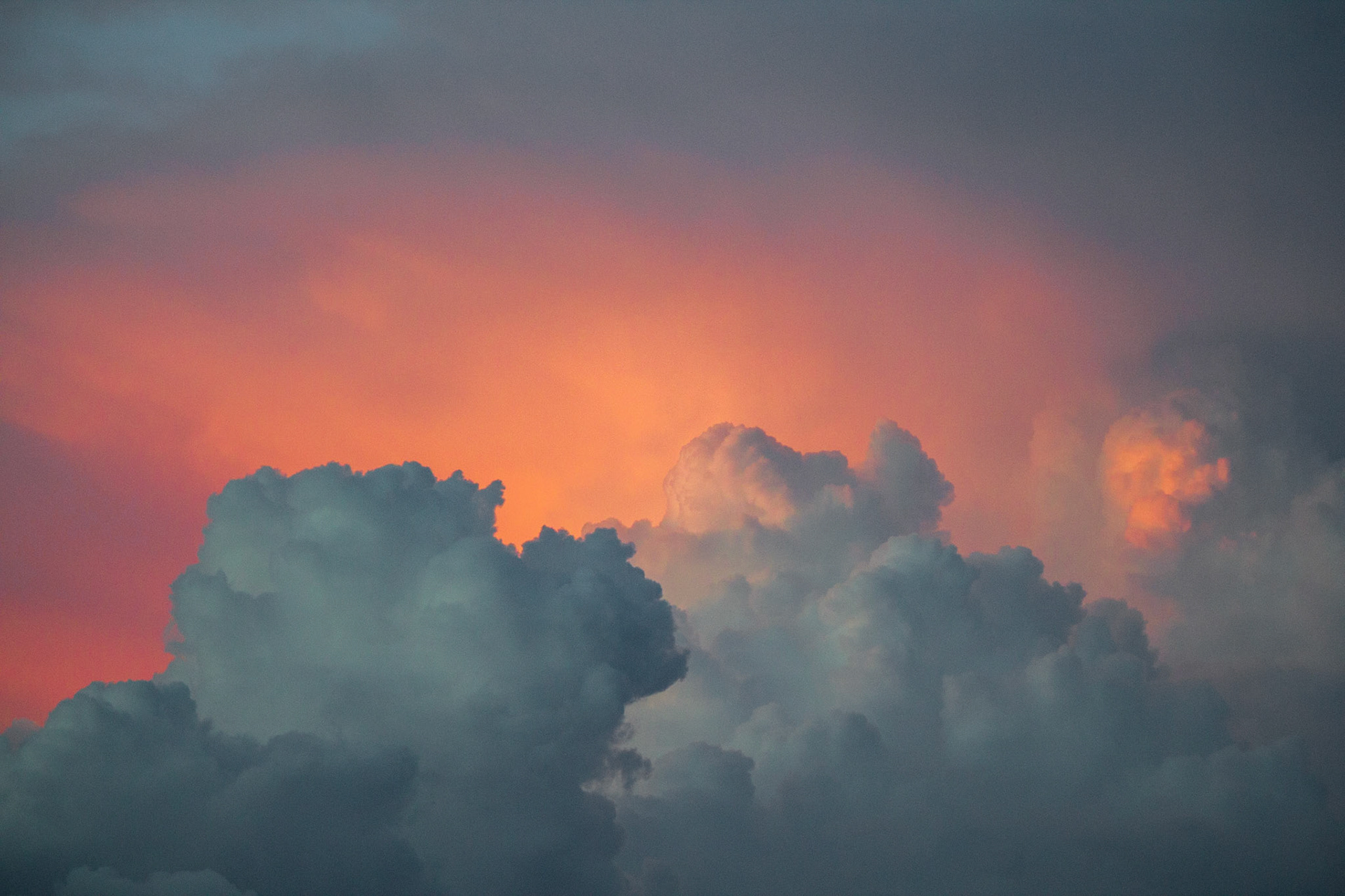From my bedroom window in Orange County, CA - March 2021