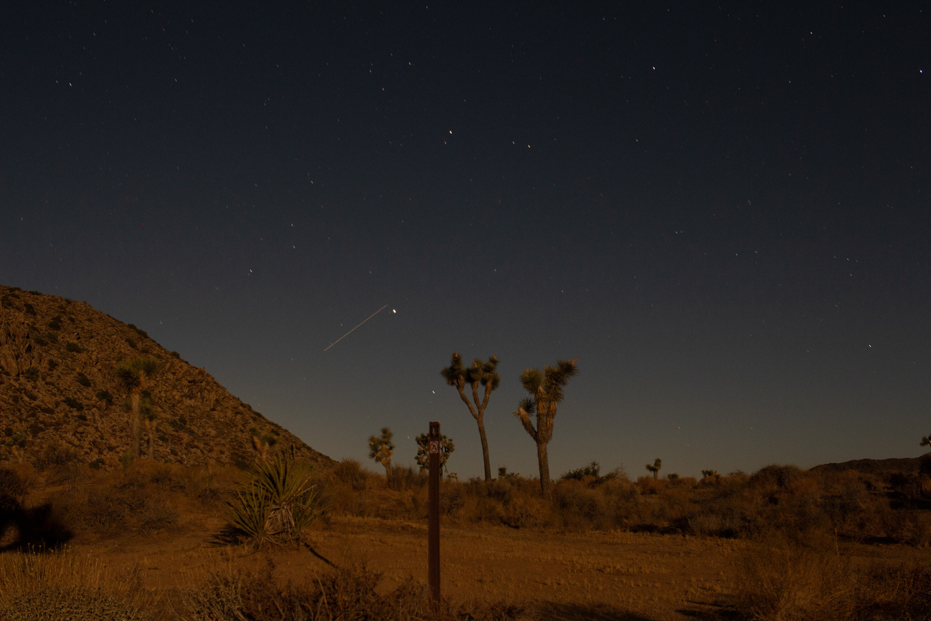Joshua Tree National Park